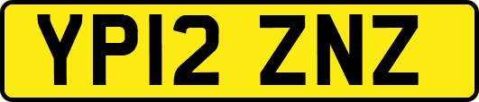 YP12ZNZ