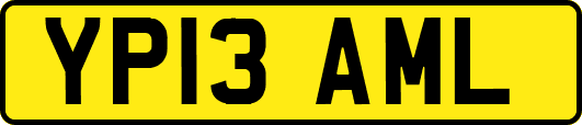 YP13AML