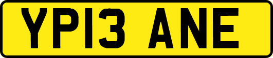 YP13ANE