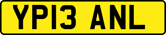 YP13ANL