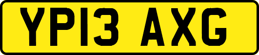 YP13AXG