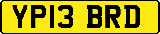 YP13BRD