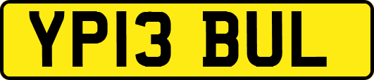 YP13BUL