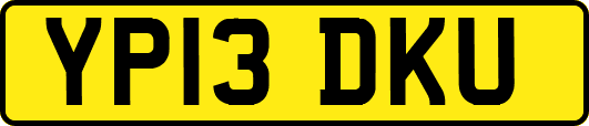 YP13DKU