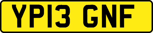 YP13GNF