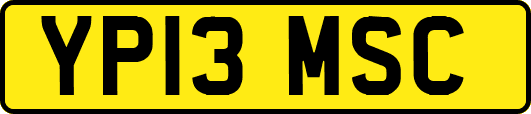 YP13MSC
