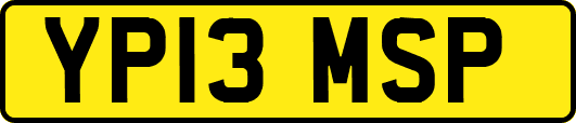 YP13MSP