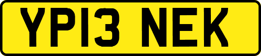 YP13NEK