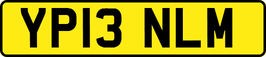 YP13NLM