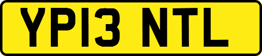 YP13NTL