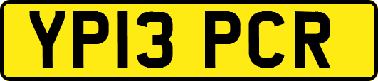 YP13PCR