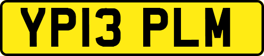 YP13PLM