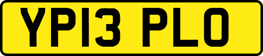 YP13PLO