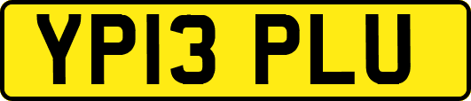 YP13PLU