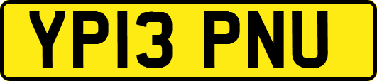 YP13PNU