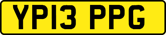 YP13PPG