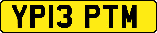 YP13PTM