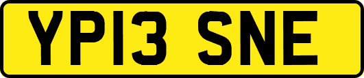 YP13SNE