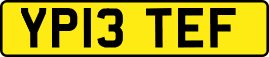 YP13TEF