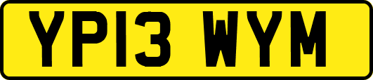 YP13WYM