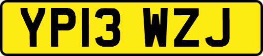 YP13WZJ