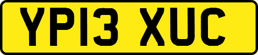 YP13XUC