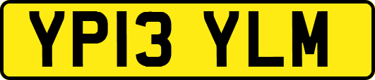 YP13YLM