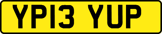 YP13YUP