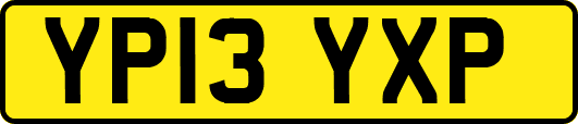 YP13YXP