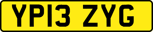 YP13ZYG