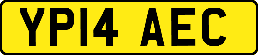 YP14AEC