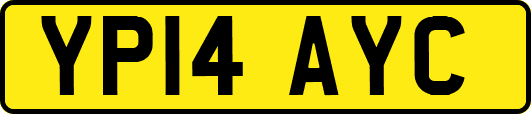 YP14AYC