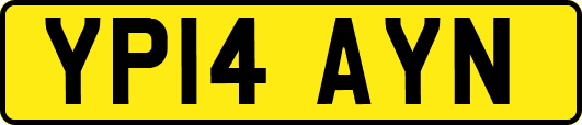 YP14AYN