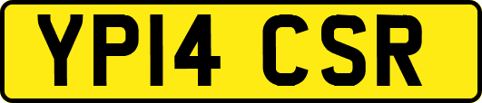 YP14CSR