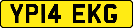 YP14EKG