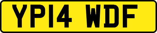 YP14WDF