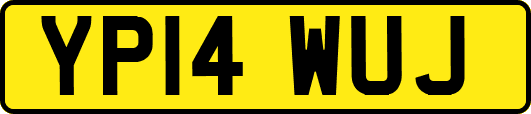 YP14WUJ