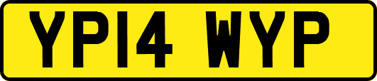 YP14WYP