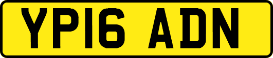YP16ADN