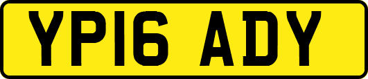 YP16ADY