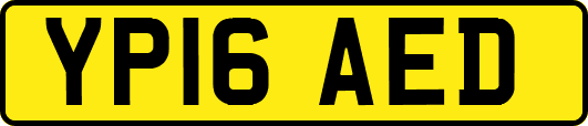 YP16AED