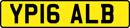 YP16ALB