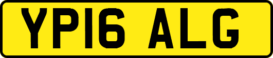 YP16ALG