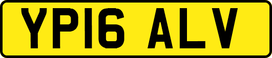 YP16ALV