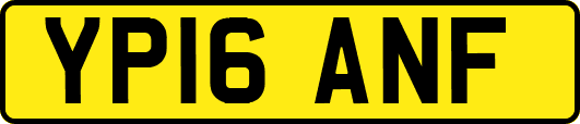 YP16ANF