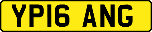 YP16ANG