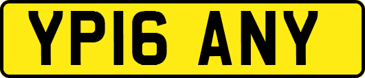 YP16ANY