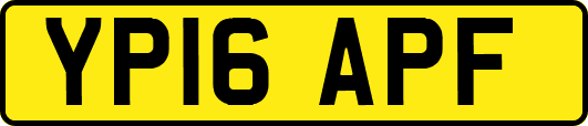 YP16APF