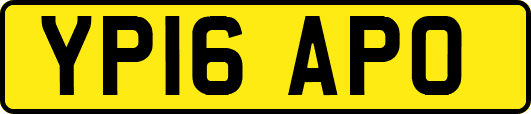 YP16APO