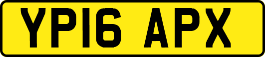 YP16APX